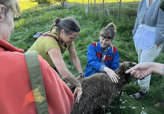 Konstnärerna lär känna Matilda Pyks får i Östra Hoby © Fiber Art Sweden