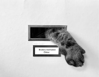 Tass i låda ©Mona Petersson