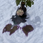 Dödsskuggan (Broderi på linneduk ca 40x40 cm, 2025)