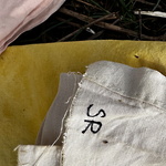  Prover från växtfärgning med material från platsen ©Gunnel Pettersson