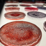 Rött - Vems färg fick plats i arkivet?