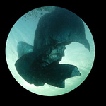 We become the Ancient drifter - Film stillbild 