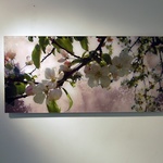 Förlossningsavd, Danderyds sjukhus 2008 © Eivor Willbacka