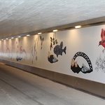 Fåglarna ser allt, Uppsala kommun 2017 © Carina Marklund