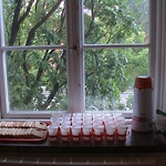 kardemummakaffe och aguélibakverk / Ett samtal med Ivan Aguéli, Aguélimuseet 2004 © Maria Wahlgren