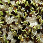 Gunnel Pettersson / Landskap © Gunnel Pettersson