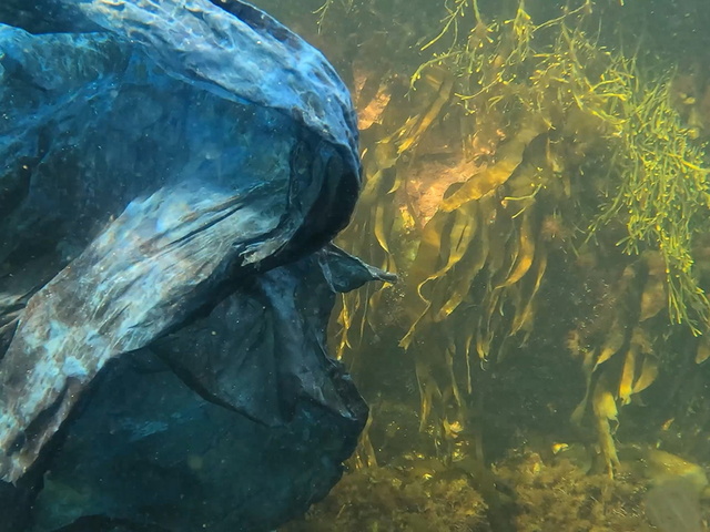 Från Viskan till Havet - Kattegatt Textil i havet 