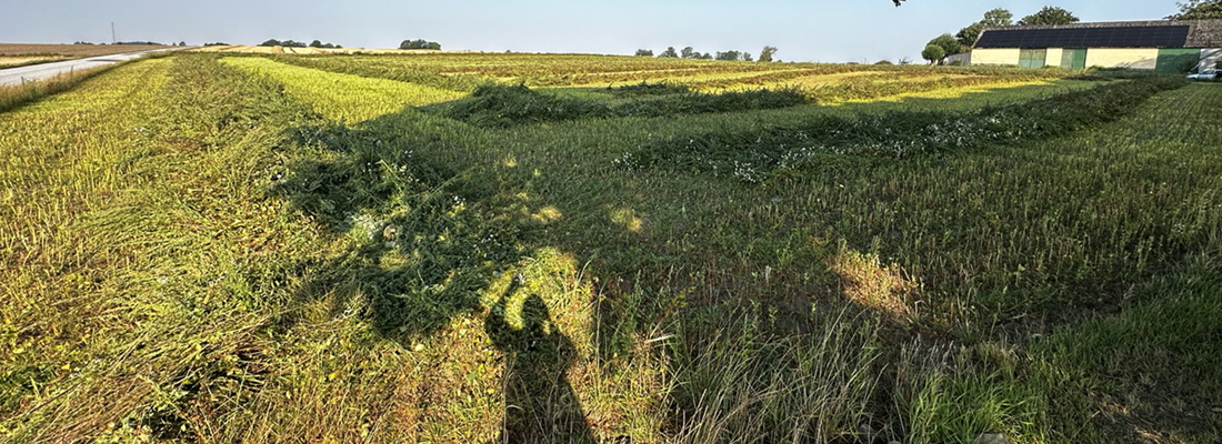 Mitt i fältet , 1.7 hektar jordbruksmark ©Gunnel Pettersson