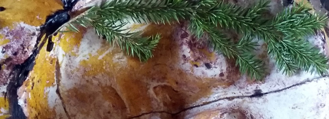 Tecken i pannan © Margareta Danhard