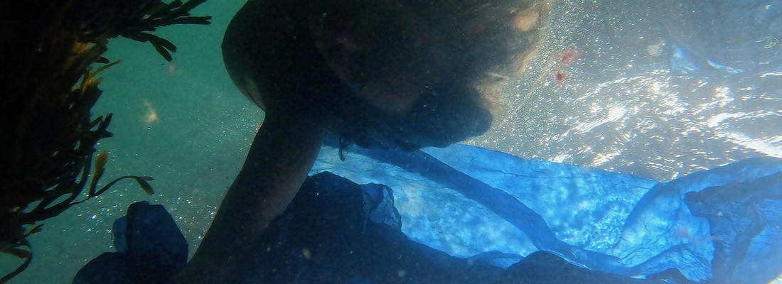 Dyker med indigo i havet © JeanetteViskansDotterSchäring